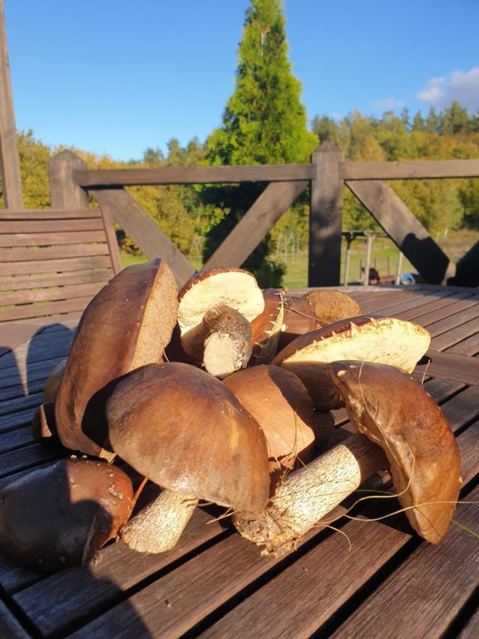 Siedlisko Pod Aniolem * Grabowko