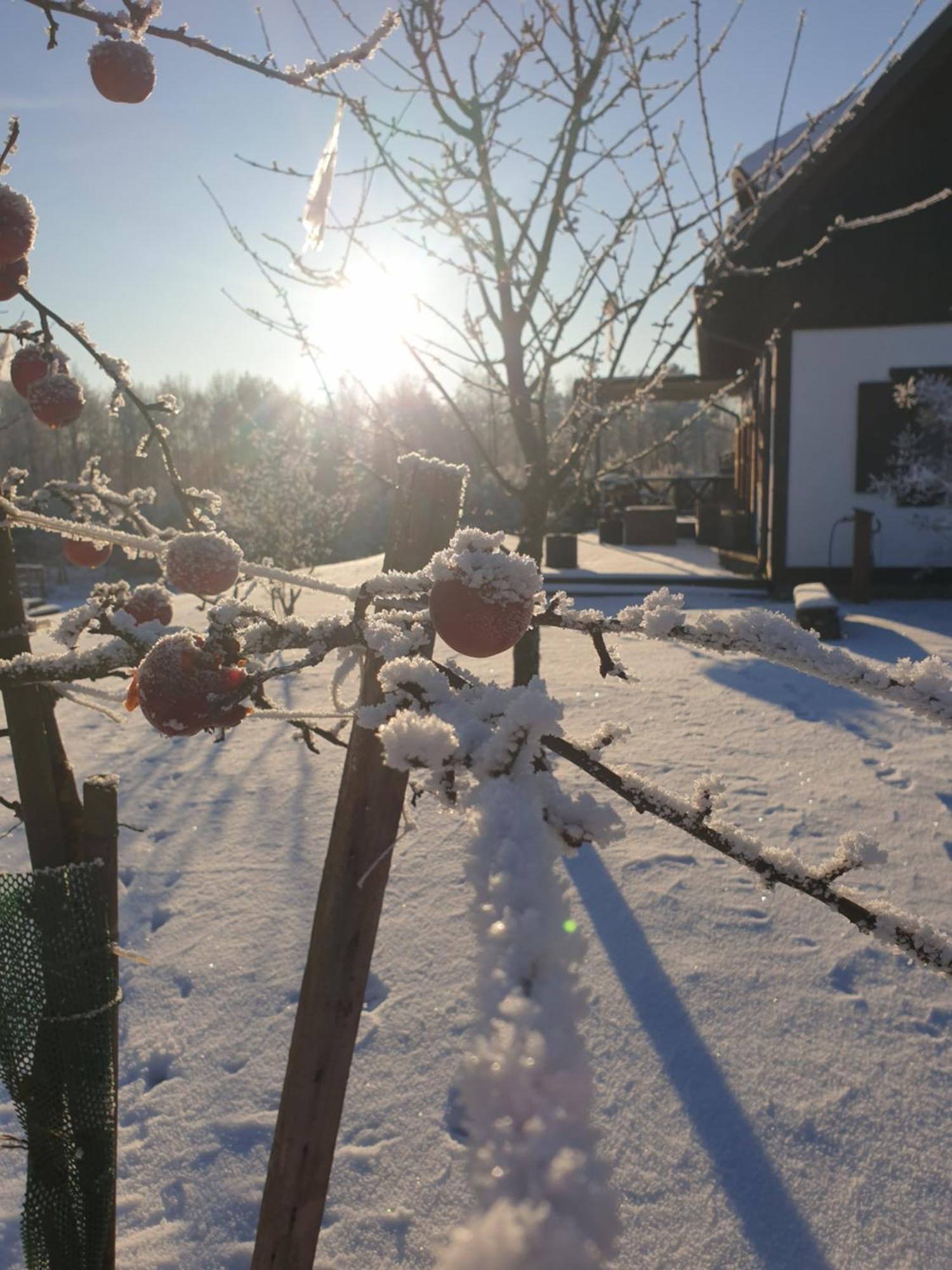 Siedlisko Pod Aniolem Holiday home Grabowko